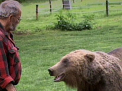 VIDEO: Watch Charles Vandergaw and bears (note: footage of feeding from 2007).