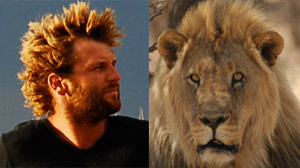 Living with Lions