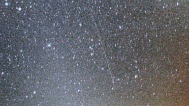 PHOTO: The Orionid meteor shower in 2008.