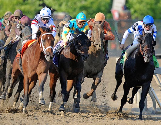 preakness stakes. the Preakness Stakes this