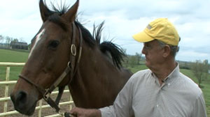 PHOTO Veteran thoroughbred owner Rick Porter says banning all drugs is the only way to rehab racings dubious image.