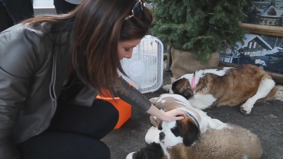 Watch:  SXSW: Where Dogs Charge Phones