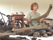 Yard Makeover Yields Prehistoric Creature