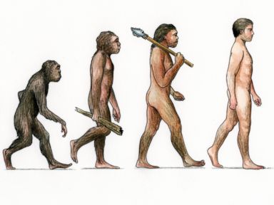 Climate Change, Evolution: Here's Why We Disagree