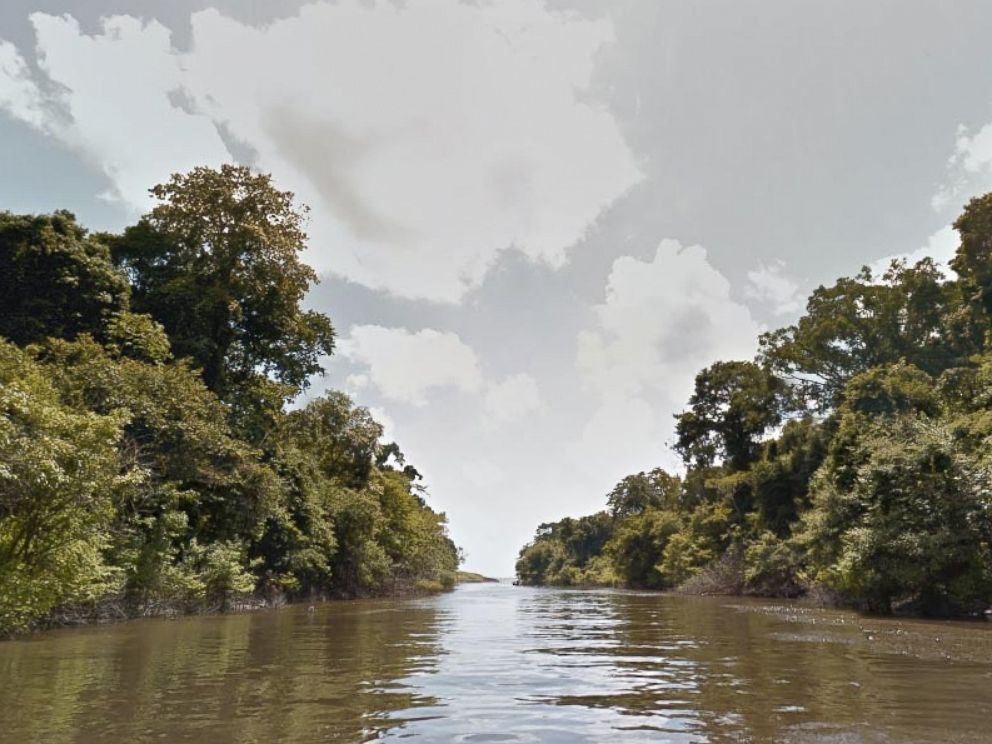 Google Street View Explore the Amazon on a Zip Line ABC News