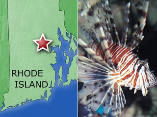 RI fish