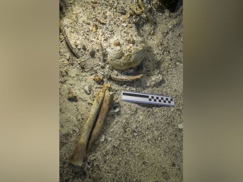 2,000-Year-Old Skeleton Found On Greek Shipwreck Could Push Boundaries ...