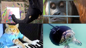 Stories of Amazing Animals