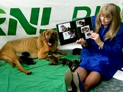 cloned dogs and Bernann McKinney