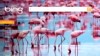 VIDEO: What are the best travel sites?