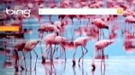 VIDEO: What are the best travel sites?