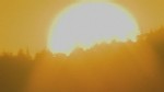VIDEO: How climate change affects your region
