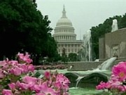 The National Mall's Big Mess