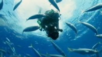 VIDEO: Learn the reasons why you and other Earth creatures keep moving on.