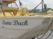 Quack! Quack! Come Along the DC Duck Tour