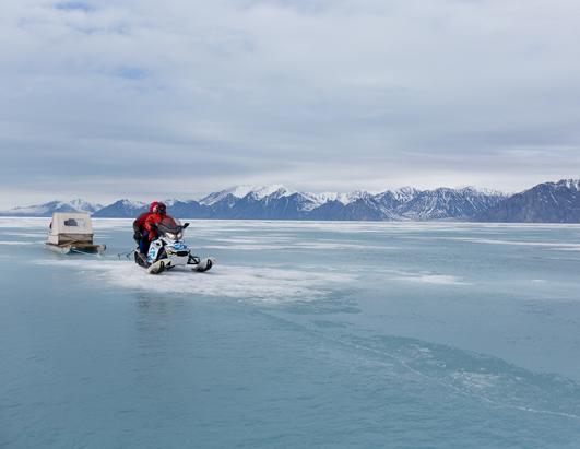 Arctic Adventure 