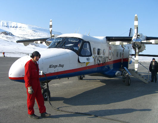 artic