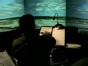 Virtual Air Traffic Control