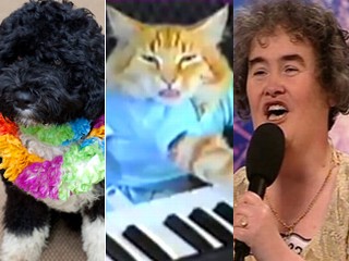 Top 7 viral sensations of 2009
