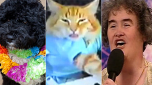 Top 7 viral sensations of 2009