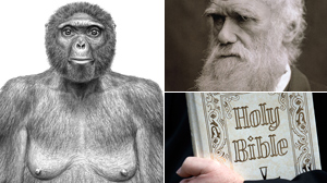 PHOTO Ardipithecus ramidus also known as "Ardi" is shown