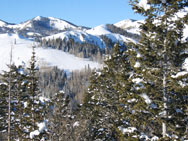 Deer Park