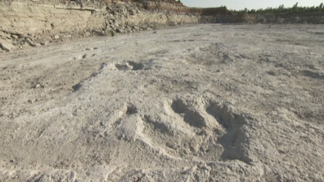 VIDEO: Fossilized tracks were found on an undisclosed private property.