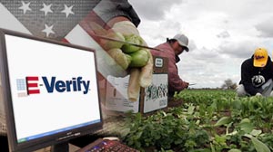 Photo: Illegal Immigration: Can a Computer Database Help? E-Verify, System for Screening Illegal Workers, Gets White House Boost