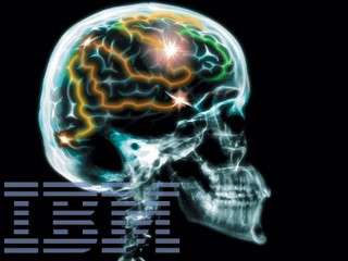 IBM Takes a (feline) Step Toward Thinking Machines