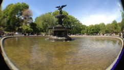 PHOTO: An image shot with a fisheye lens for the iPhone is seen here.