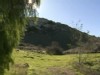 Video Sample