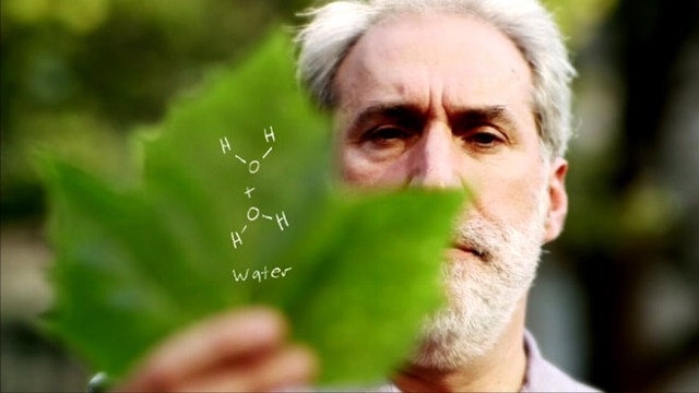 VIDEO: The Artificial Leaf