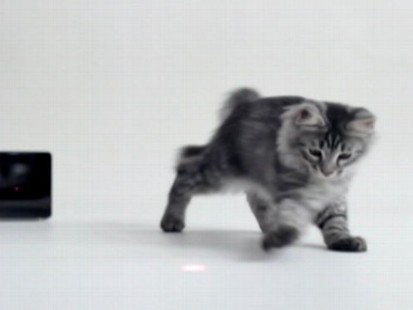 VIDEO: The new device allows users to play with and monitor their pets from a smartphone app.