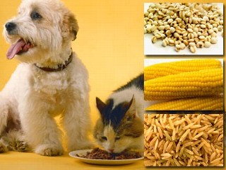 Photo: Vegetarian Diets for Pets