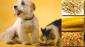Photo: Vegetarian Diets for Pets