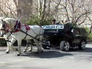 Hummer Goes From Horsepower to Horse