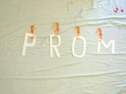 VIDEO: Calif. teen makes YouTube video to invite his date to prom.