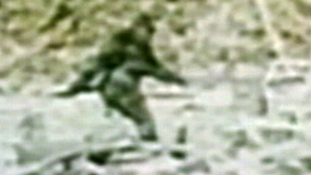 VIDEO: European researchers plan to test Bigfoot, Yeti hair samples to help crack the Bigfoot mystery.