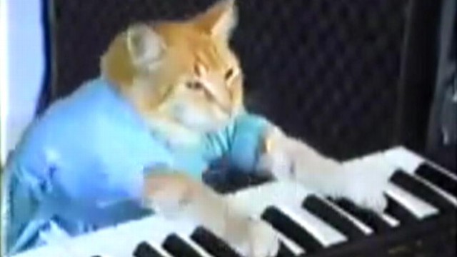 VIDEO: Internet feline creators are suing for unauthorized use of their product in a video game.