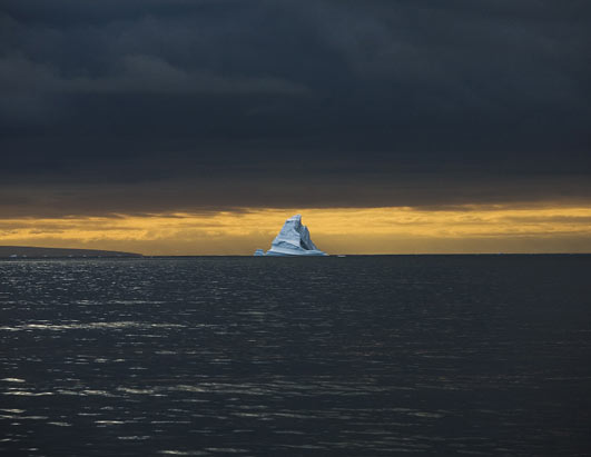 Photo:  Antarctica has warmed by 4.5 degrees since 1945.