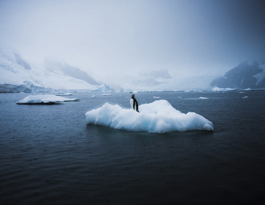 Photo: Sebastian Copeland in Antarctica.