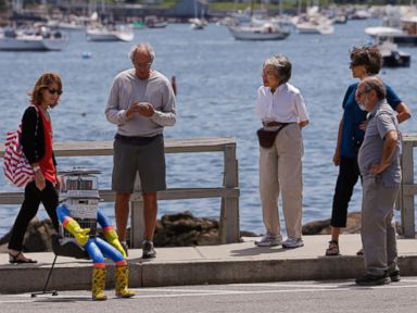 The World Mourns hitchBOT the Hitchhiking Robot