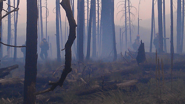 PHOTO: Gila National Forest burnout