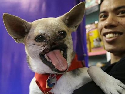 Photos: Hero Dog Returns Home