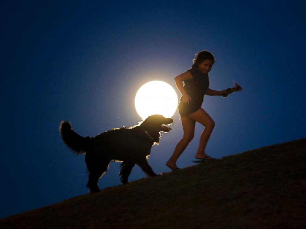 PHOTO: A girl plays with a dog as a perigee moon, also known as a supermoon, rises in Madrid, Aug. 10, 2014.