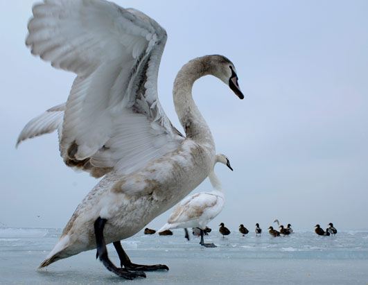 Winter Weather Around The World