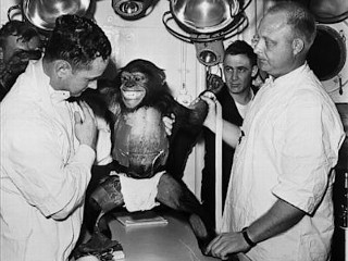 Photos: Chimps in Space: America's Early Explorers