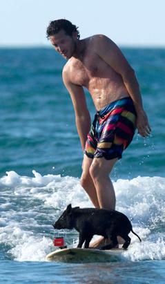 Piglet Goes Surfing!