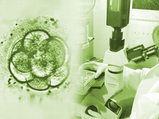 embrionic stem cell research