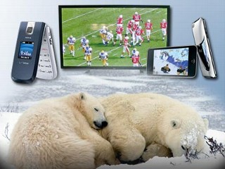 Photo: Environmental Alarms Raised Over Home Electronics: Charge your iPod, kill a polar bear? Energy watchdog says gadgets pose environmental threat